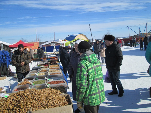 IMG_4184.jpg