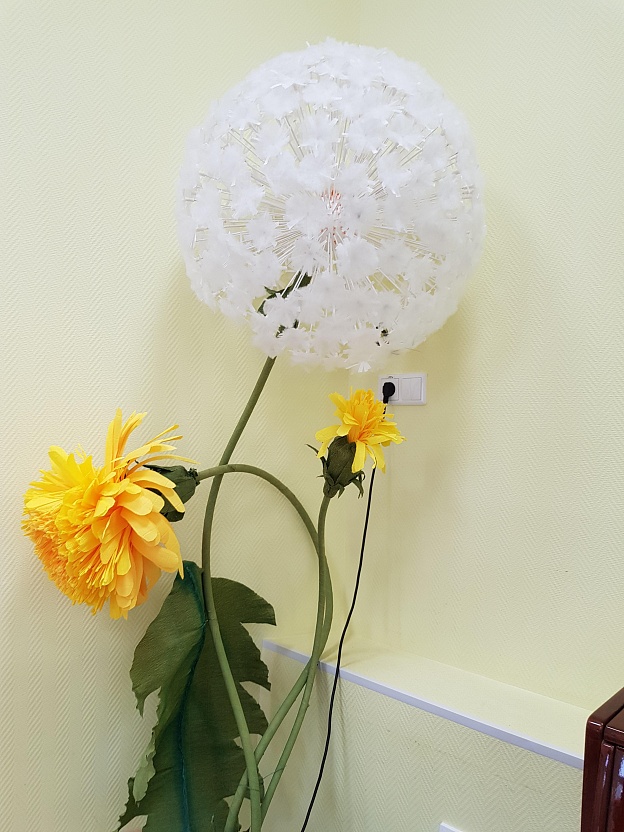 20190420_131826.jpg